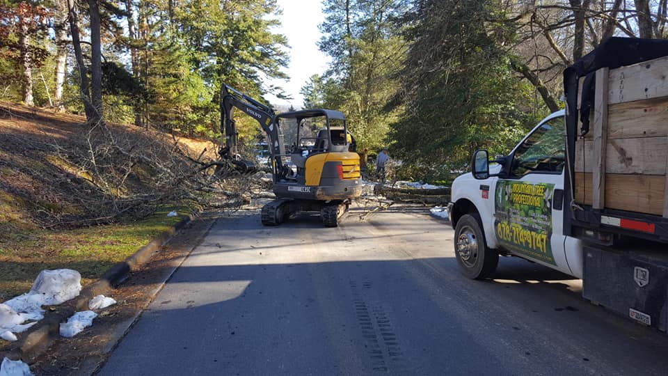 Professional Tree Removal in Sanford NC - Call Now 919-842-5130