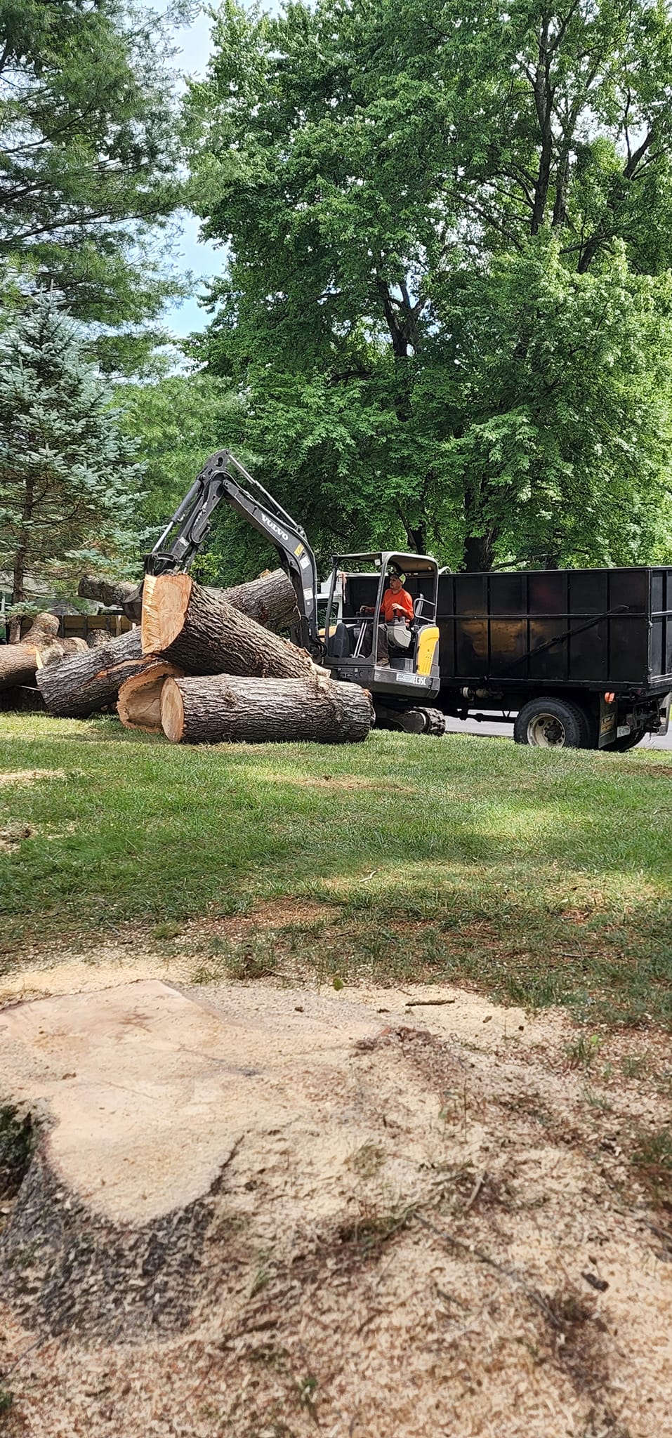 Tree trimming and tree removal