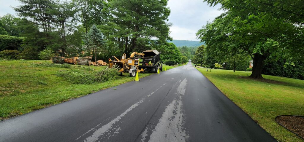 Dead tree removal |  Hendersonville and Flat rock North Carolina