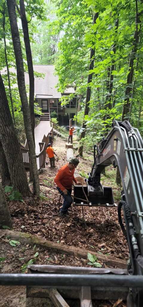 Brevard N.C. Tree Service Professionals